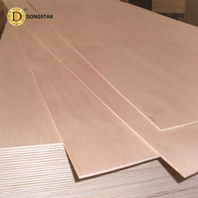 Dongstarwood Bintangor Plywood-1