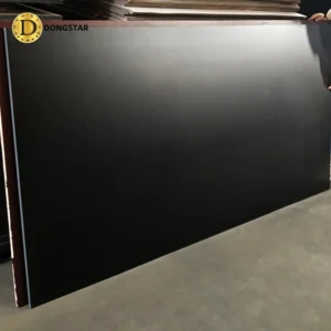Dongstarwood Black Film Faced Plywood-1