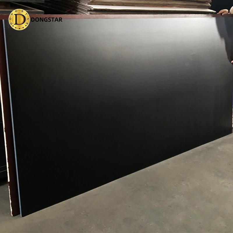 Dongstarwood Black Film Faced Plywood-1