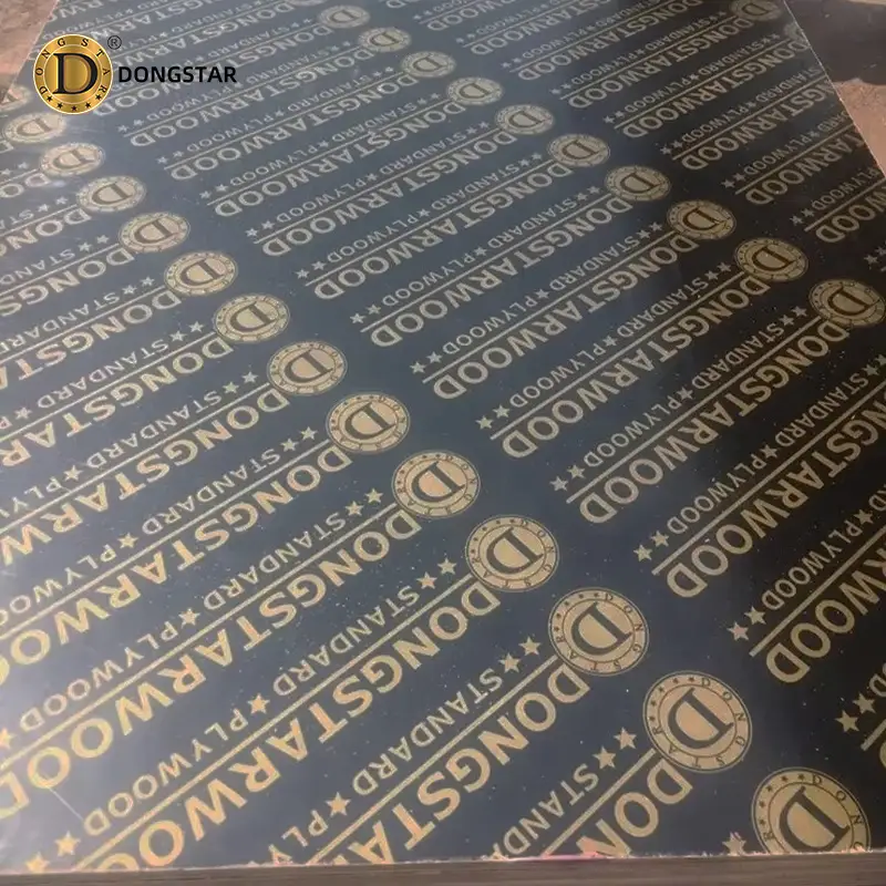 Dongstarwood Film Faced Plywood-1
