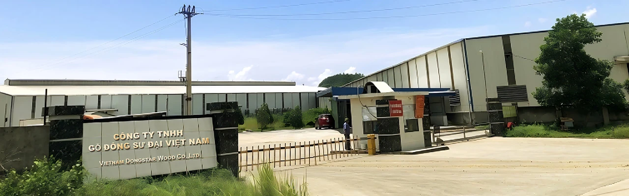 Dongstarwood- Plywood Factory-1