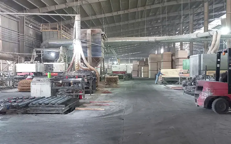 Dongstarwood- Plywood Factory-2