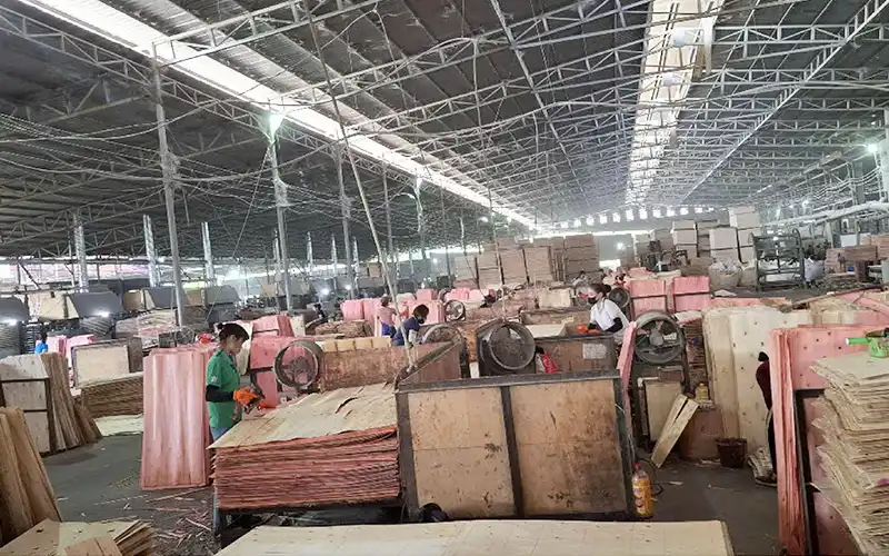 Dongstarwood- Plywood Factory-3