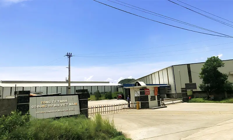 Dongstarwood- Plywood Factory