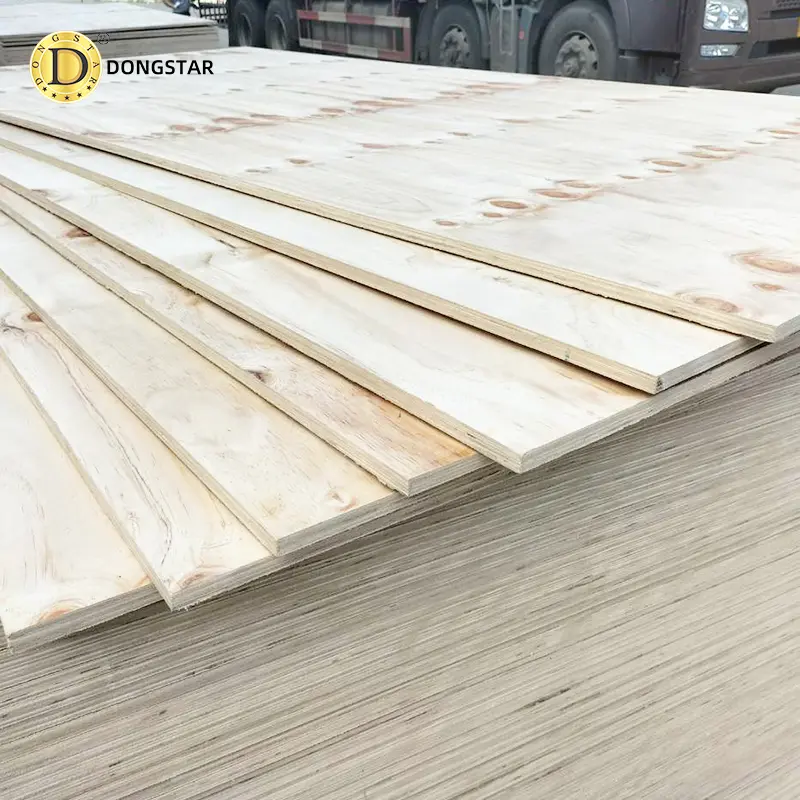 Dongstarwood Structural-CDX Pine Plywood-2