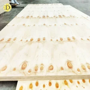 Dongstarwood Structural-CDX Pine Plywood