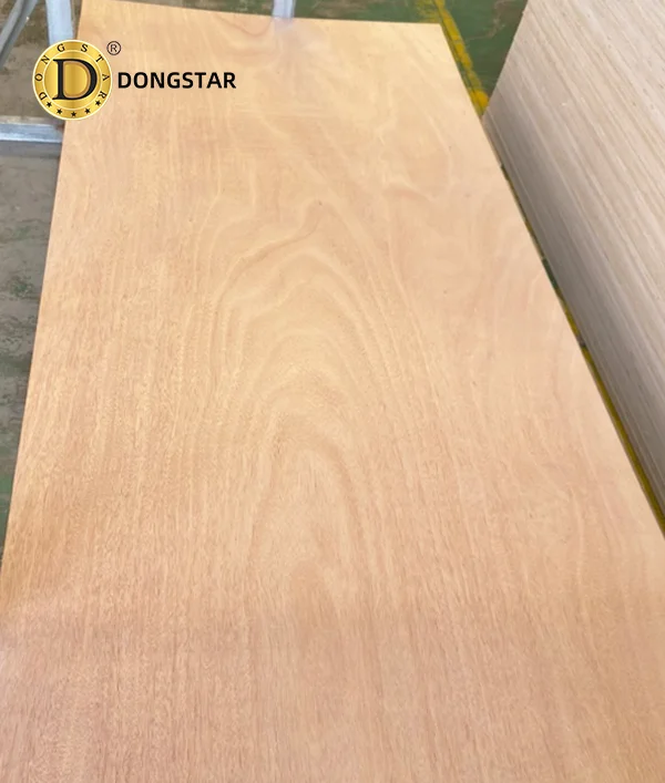 Door Skin Plywood