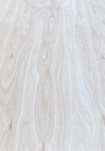 Rose-Eucalyptus Faced