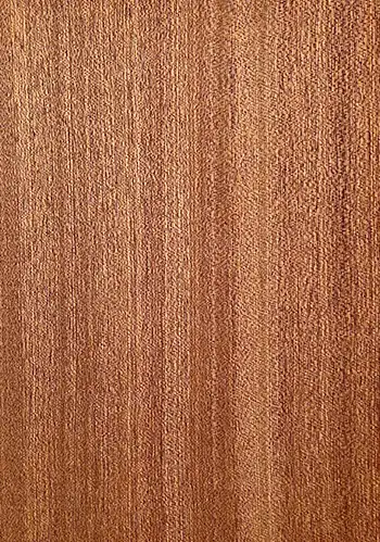 Sapele Faced