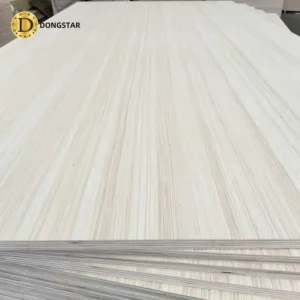 EV Plywood-1