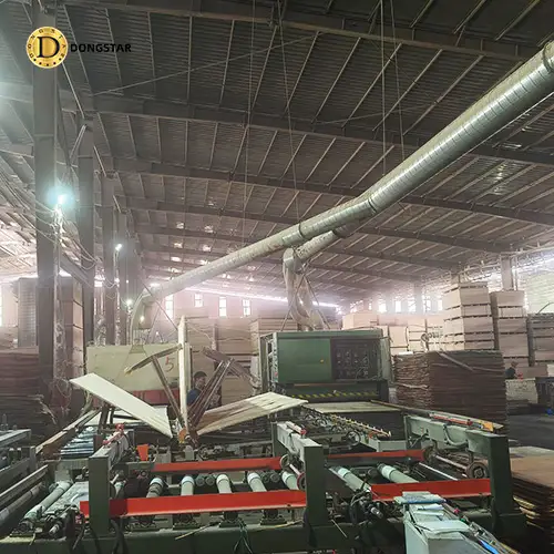 Vietnam Dongstar Wood Co.,Ltd.