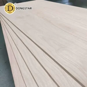 How to Import Plywood from Vietnam to Europe