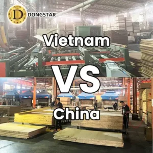 Vietnam Plywood vs China Plywood