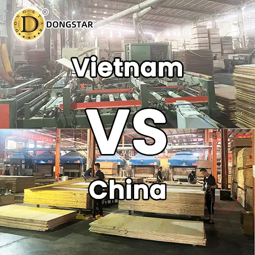 Vietnam Plywood vs China Plywood
