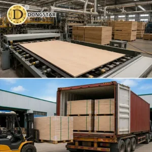 Vietnam Birch Plywood factory