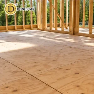 CDX Plywood Flooring