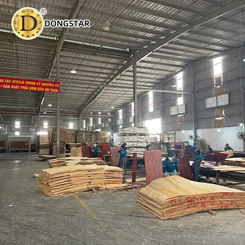 Vietnam Best Film Faced Plywood Supplier