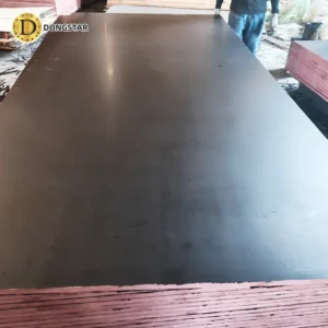 Vietnam Ordinary Black Film Faced Plywood