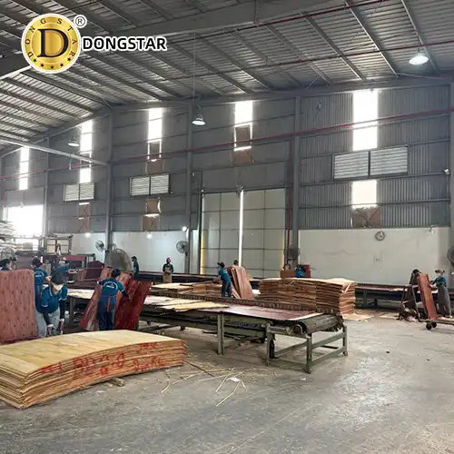 Vietnam Plywood Supplier Factory