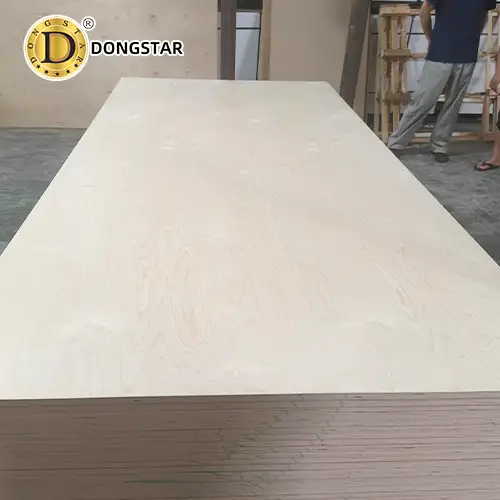 Vietnam Birch Plywood Factory