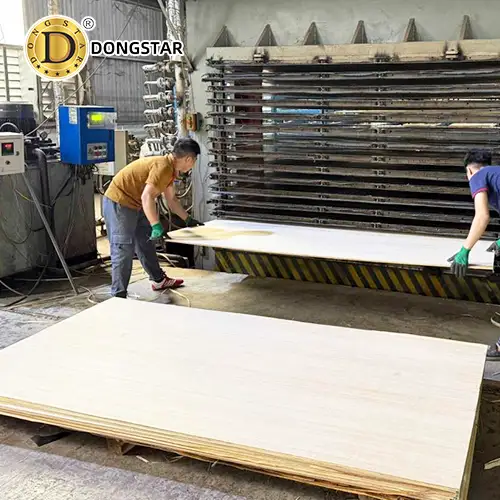 Vietnam 1220x2440mm Plywood