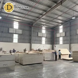 Vietnam 4x8 Plywood Supplier