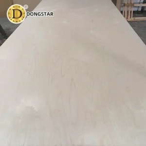 Vietnam Birch Plywood
